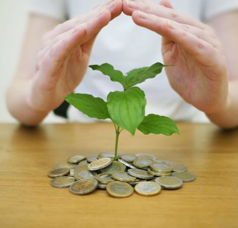 Ein Haufen Euromünzen liegen auf einem Tisch. Zwischen Ihnen wächst eine grüne Pflanze, darüber hält ein Mensch seine schützenden Hände.